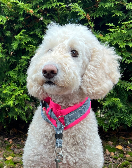 Silko 360° ympärivuorattu panta pinkki