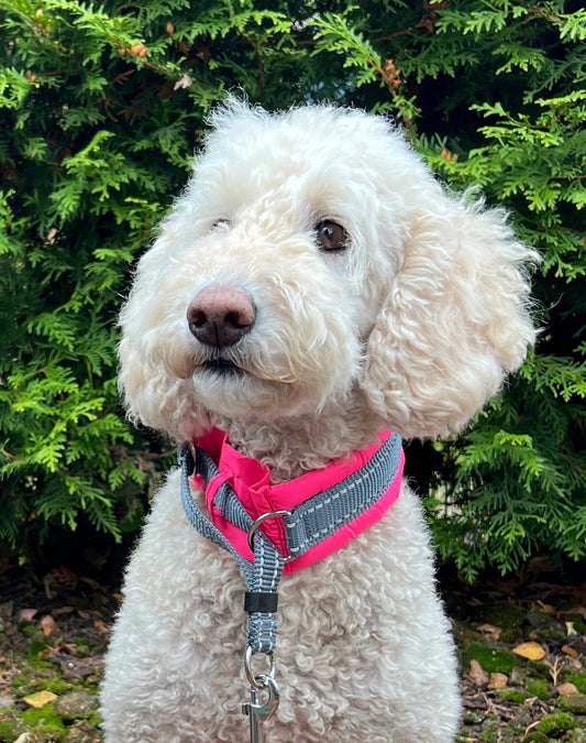 Silko 360° ympärivuorattu panta pinkki