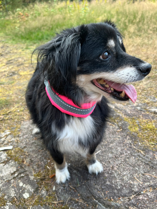 Silko 360° ympärivuorattu panta pinkki