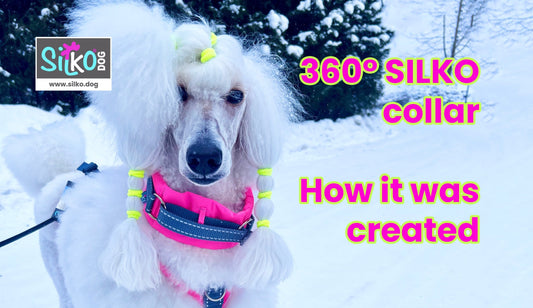 Miten syntyi 360° SILKO -panta?