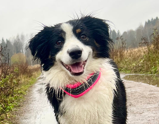 Silko Nolla puolikiristävä panta pinkki